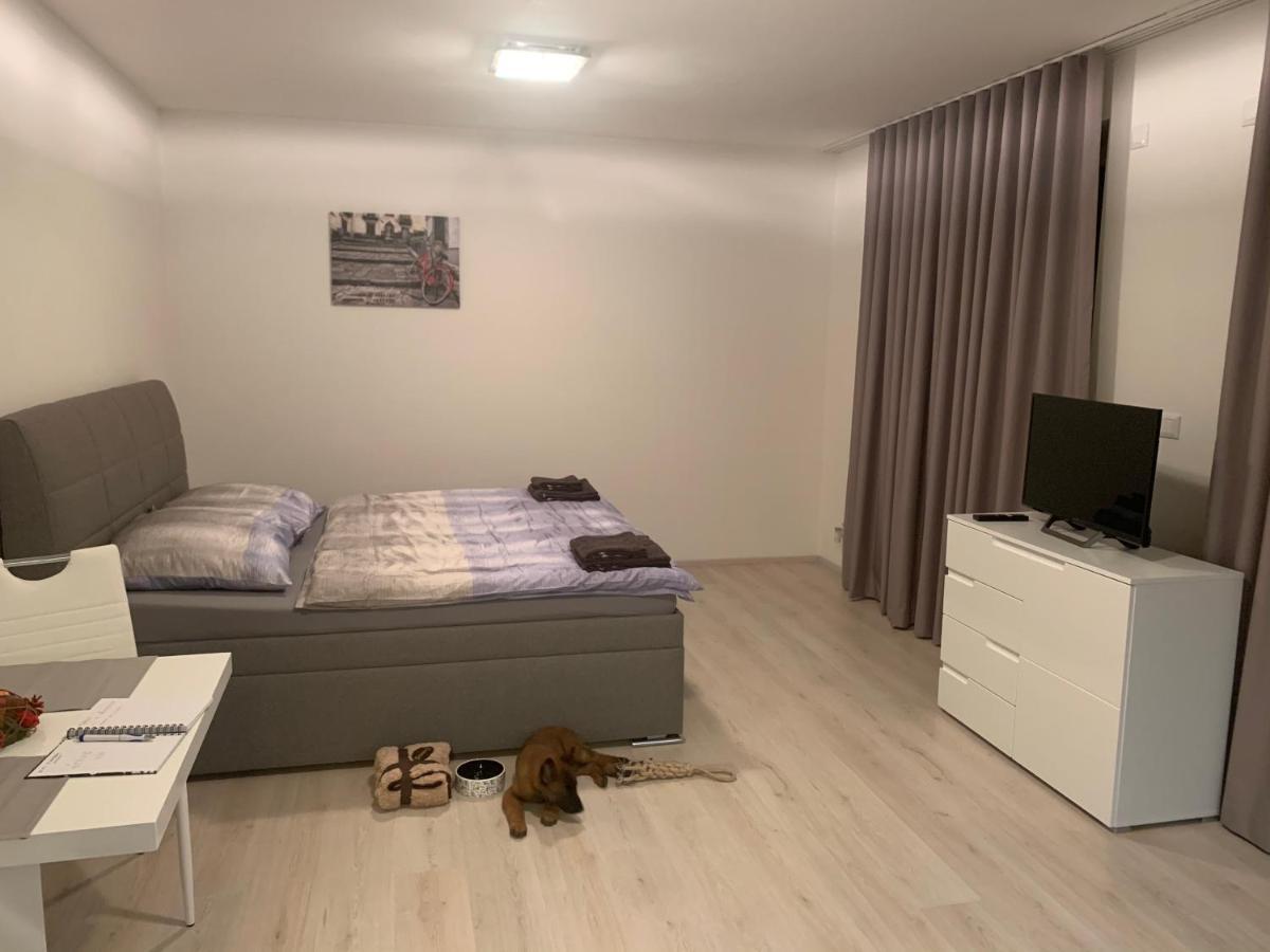 Modern Apartment In The City Center Plzeň Exterior foto